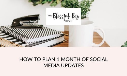 5 social media plan